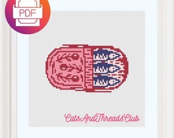 Sardines Cross Stitch Pattern: Beginner-Friendly Fish Design (PDF Download)