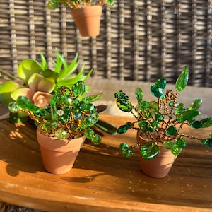Puede incluir: Mini plantas en macetas con hojas de cuentas de vidrio verde y tallos de alambre dorado. Las plantas están en pequeñas macetas de terracota, con un arreglo de suculentas en el fondo. Las plantas se exhiben en una bandeja de madera.