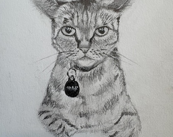 Hand drawn custom graphite animal drawing