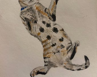 Hand drawn custom pet drawing in colored pencil