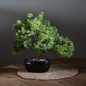 Könnte beinhalten: Ein kleiner, künstlicher Bonsai-Baum mit leuchtend grünen Blättern. Der Baum steht in einem schwarzen Keramiktopf auf einer gewebten, runden Unterlage. Der Hintergrund ist ein neutrales Grau, und der Baum steht auf einem Holztisch.