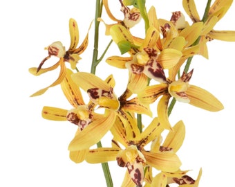 Fiori Artificiali Orchidea 95 cm Ramo