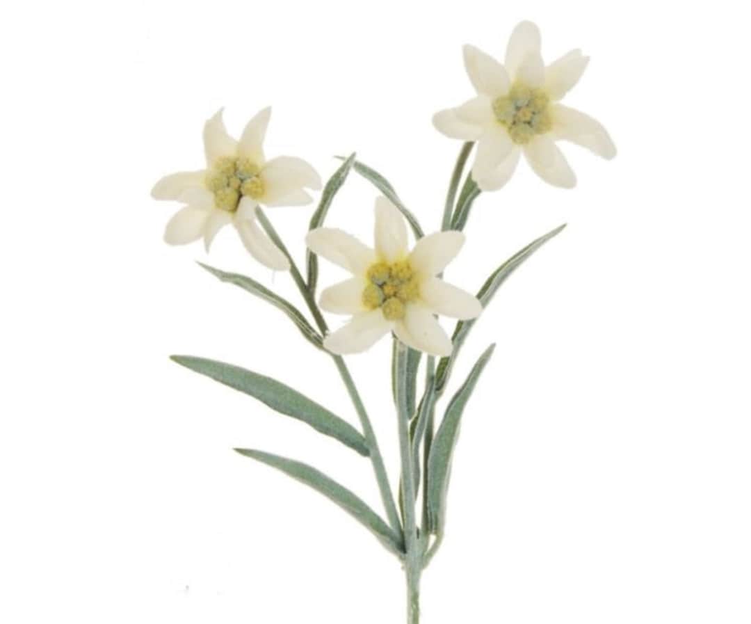 Edelweiss Artificial Fabric Flower Bouquet Etsy