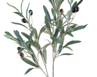 May include: A green olive branch with multiple stems and leaves. The branch has several small, dark purple olives.