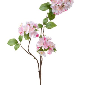 Puede incluir: Una rama de un árbol en flor con flores rosadas y hojas verdes. La rama es marrón y tiene un aspecto natural y rústico.