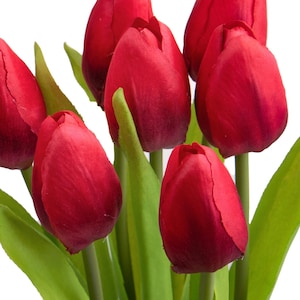 May include: A close-up of a bouquet of red tulips with green stems and leaves. The petals are a deep red color, and the leaves are a vibrant green. The flowers are clustered together, creating a full and lush appearance.