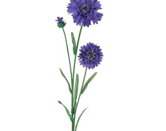 May include: A single stem of purple cornflowers with three blooms and one bud. The flowers have a delicate, layered appearance and are arranged on a green stem with leaves.