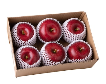 Frutta Artificiale Mele Rosse 6 pz Cibo Ornamentale