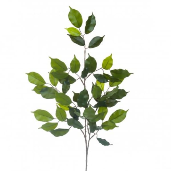 Künstlicher Ficus Zweig 60 cm Länge