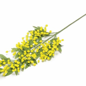 Knstliche mimosen - Etsy.de