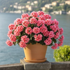 Artificial Geranium Bush 54 cm