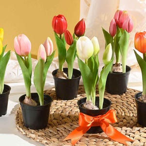 Puede incluir: Un conjunto de tulipanes en macetas de varios colores, incluyendo amarillo, rosa, rojo, blanco y naranja. Los tulipanes están dispuestos sobre una estera tejida, con una cinta naranja atada alrededor de una de las macetas.