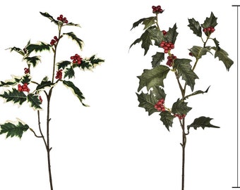 May include: Artificial holly stems with dark green leaves, red berries, and brown stems. The leaves have white edges. The stems are approximately 6 inches (15 cm) tall. Ideal for holiday decorations and crafts.