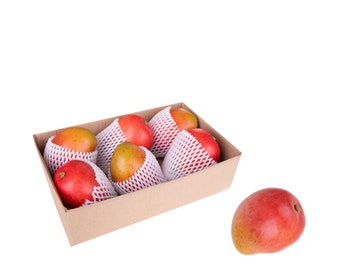May include: A cardboard box filled with six red and yellow mangoes, each wrapped in white netting. The mangoes are arranged in two rows of three. One mango is outside the box, on a white background.