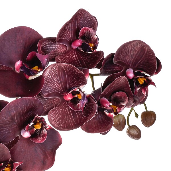 Orchidée Fleur Artificielle Branche 91 cm Phalaenopsis