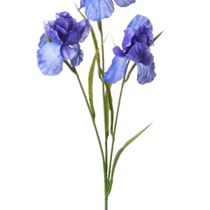 May include: A bouquet of three blue iris flowers with green stems and leaves.