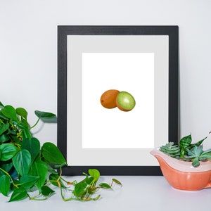 Kiwi | Fruit Artwork | Kitchen Art | Digital Print