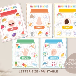 Five Senses Sorting Activity, 5 Senses Matching, Toddler Busy Book, Learning Activity, Homeschool Resources, Montessori, Digital Download