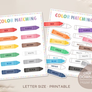 Color Matching Busy Book: Montessori Learning Activity (Digital Download)