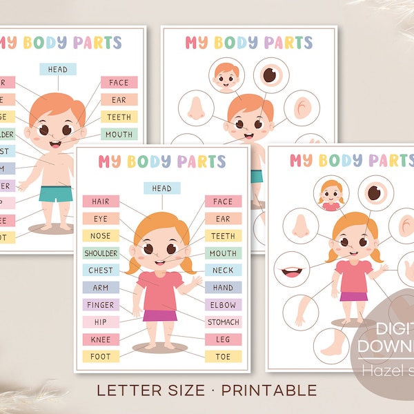 Body Parts Matching Learning Activity, Printable Human Body, Face Parts Busy Bundle, Preschool Busy Books, Montessori, Digital Download