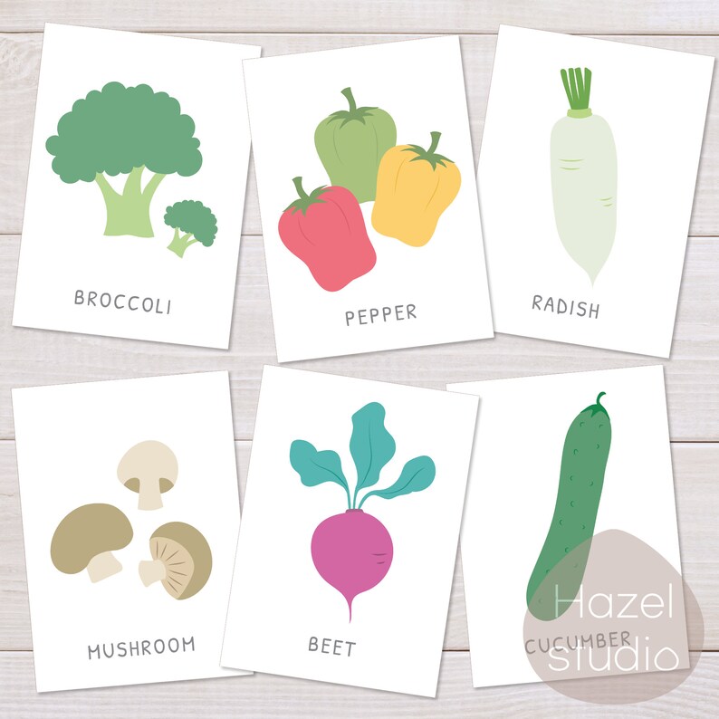 Op de afbeelding: Set van zes ge&iuml;llustreerde flashcards met verschillende groenten en hun namen: broccoli, paprika, radijs, champignon, biet en komkommer.