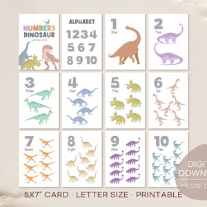 Nummerflitskaarten, dinosaurusnummerkaarten, Montessori-materialen, homeschoolprintables, leerkaarten, digitale download