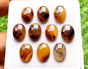 Montana Agate Calibrated Oval Shape Cabochon With Flat Back 10 Pieces Lot | Size : 10x14 MM | AAA+ Montana Agate Used For Jewelry Making