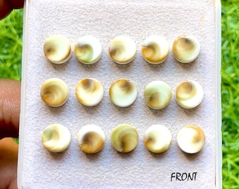Australian Sea Shell 6 MM Round Shape Calibrated Smooth Cabochon With Flat Back Gemstone 15 Pieces Lot For Handmade Jewelry Making