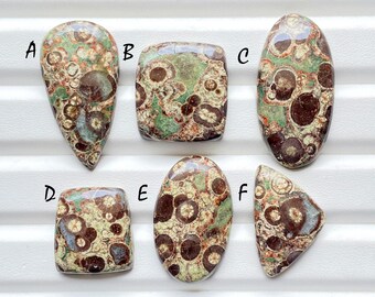 New Crocodile Jasper Cabochon Loose Gemstone For Jewelry Making, AAA+ Natural Crocodile Jasper Gemstone For Wire Wrap - 24288-24293