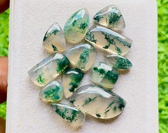 Moss Agate Gemstone Cabochon With Flat Back 12 Pieces Gemstone Lot | Size : 21-10 MM | AAA+ Natural Moss Agate For Handmade Jewelry - 28462