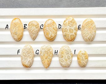 Beautiful Fossil Coral Cabochon Loose Gemstone For Jewelry Making, AAA+ Natural Fossil Coral Gemstone Cabochon For Wire Wrap - 28085-28093