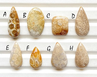 Beautiful Fossil Coral Cabochon Loose Gemstone For Jewelry Making, AAA+ Natural Fossil Coral Gemstone Cabochon For Wire Wrap - 26326-26333