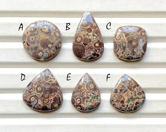 New Crocodile Jasper Cabochon Loose Gemstone For Jewelry Making, AAA+ Natural Crocodile Jasper Gemstone For Wire Wrap - 32057-32062