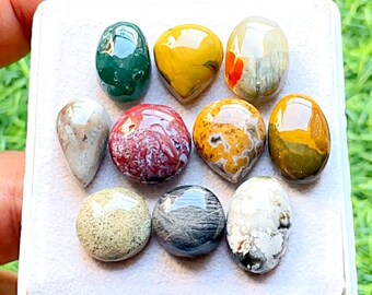 Selected Ocean Jasper Cabochon Loose Gemstone 10 Pcs Lot For Jewelry Making | Size : 17-13 MM | Natural Ocean Jasper Small Size Lot - 21666