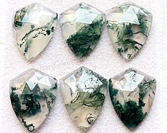 Moss Agate Fancy Shield Shape Rose Cut With Flat Back Gemstone 6 Pieces Lot | Size : 20X15 MM | AAA+ Natural Moss Agate For Jewelry Making
