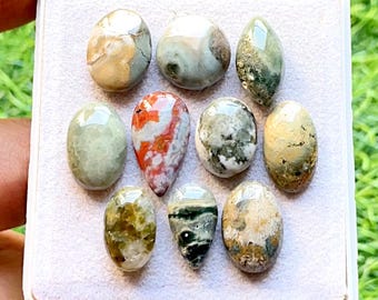Selected Ocean Jasper Cabochon Loose Gemstone 10 Pcs Lot For Jewelry Making | Size : 19-14 MM | Natural Ocean Jasper Small Size Lot - 21661