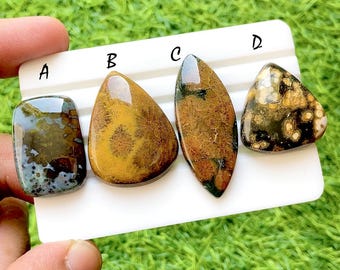 Wild Reef Ocean Jasper Cabochon Set, Rare Floral Pattern Ocean Jasper, Designer Jewelry Making Stones, Collector Gem Lot - 35458-35461