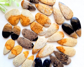 PALM ROOT Pair Cabochon Wholesale Lot | AAA+ Natural Matched Pair Lot By Quantity With Different Shapes And Sizes Used For Jewelry Making