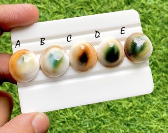 Natural Australian Shell Cabochon Loose Gemstone For Jewelry Making, Ocean Inspired Pearl Gemstone, Round Jewelry Stone Single - 37801-37805