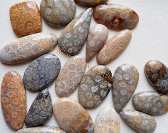 Fossil Coral Cabochon, Wholesale Lot Fossil Coral Cabochon By Weight With Different Shapes And Sizes Used For Jewelry Making