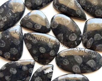 BLACK FOSSIL CORAL Wholesale Lot Cabochon By Weight With Different Shapes And Sizes Used For Jewelry Making