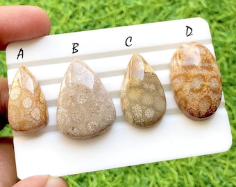 Golden Reef Fossil Coral Cabochon For Jewelry, Natural Flower Pattern Coral Gemstones, Ocean Inspired Designer Jewelry Stones - 35578-35581