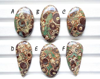 New Crocodile Jasper Cabochon Loose Gemstone For Jewelry Making, AAA+ Natural Crocodile Jasper Gemstone For Wire Wrap - 24282-24287