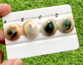 Natural Australian Shell Cabochon Loose Gemstone For Jewelry Making, Ocean Inspired Pearl Gemstone, Round Jewelry Stone Single - 37792-37795