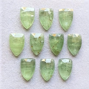 Può includere: Dieci gemme a forma di scudo verde chiaro con la parte superiore sfaccettata sono disposte su una superficie chiara. Le gemme hanno una qualità traslucida, con inclusioni visibili e variazioni di colore. La forma generale ricorda uno scudo araldico.