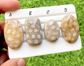 Golden Reef Fossil Coral Cabochon For Jewelry, Natural Flower Pattern Coral Gemstones, Ocean Inspired Designer Jewelry Stones - 35566-35569