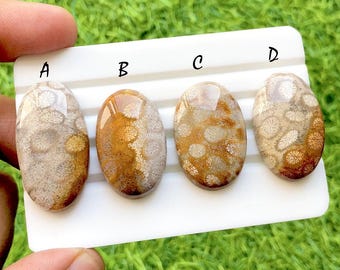 Golden Reef Fossil Coral Cabochon For Jewelry, Natural Flower Pattern Coral Gemstones, Ocean Inspired Designer Jewelry Stones - 35554-35557