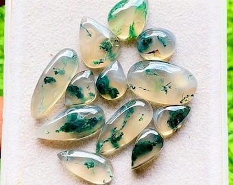 Top Selected Moss Agate Gemstone Smooth Cabochon 12 Pieces Lot Used For Handmade Jewelry - RARE Moss Agate Gemstone For Jewelry Making 28457