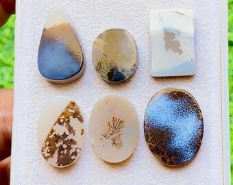 Scenic Agate Cabochon 6 Pieces Loose Gemstone Lot For Jewelry Making | Size : 21-15 MM | AAA+ Natural Scenic Agate For Jewelry - 29447