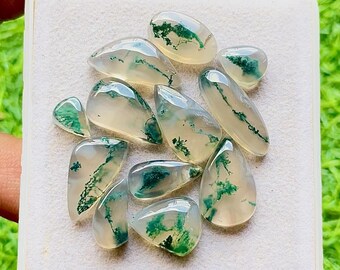 Moss Agate Gemstone Cabochon With Flat Back 12 Pieces Gemstone Lot | Size : 20-9 MM | AAA+ Natural Moss Agate For Handmade Jewelry - 28463